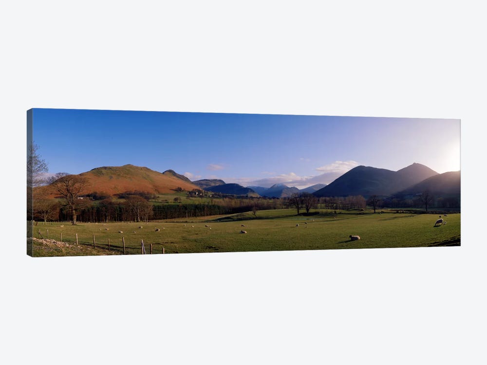 Valley Northern Lake District Cumbria Newlands England by Panoramic Images 1-piece Canvas Art