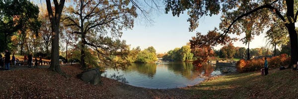 Manhattan: 360 degree view of an urban park, Central Park, Manhattan, New York City, New York State, USA #2 by Panoramic Images