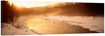 Stream Flowing Through A Snowy Forest Landscape, British Columbia, Canada Canvas Art Print - Canada Art