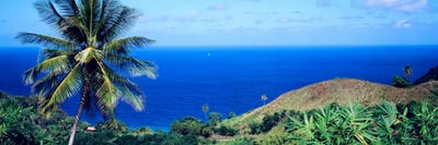 Pigeon Point Tobago by Panoramic Images canvas print