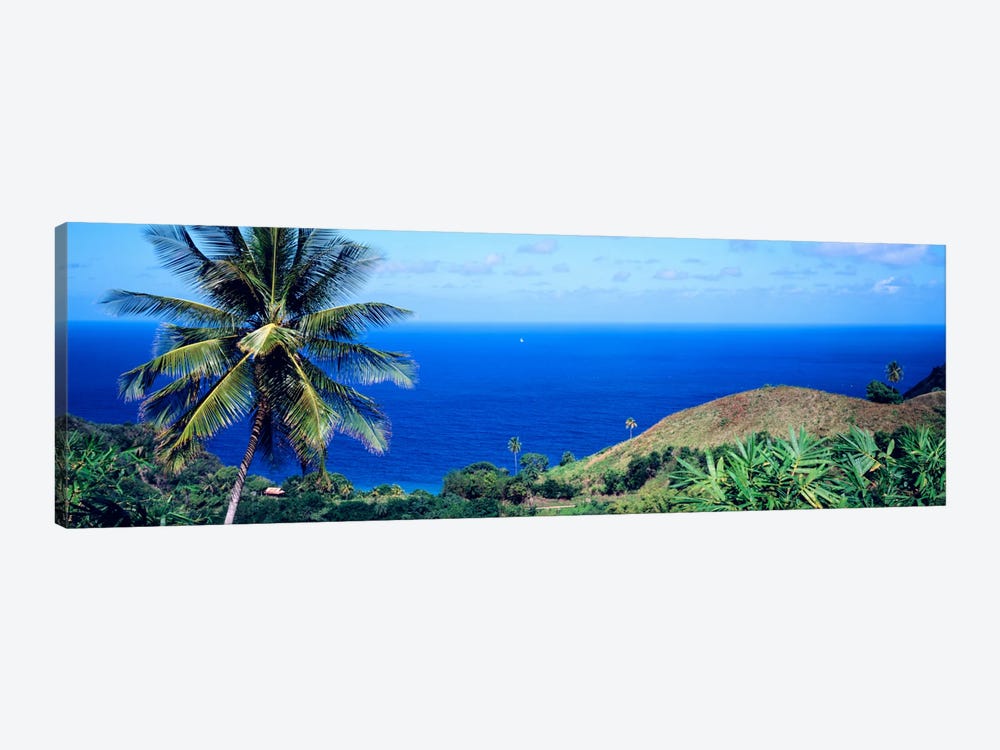 Pigeon Point Tobago by Panoramic Images 1-piece Canvas Wall Art