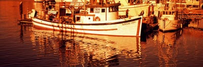 Fishing boats in the bay, Morro Bay, San Luis Obispo County, California, USA by Panoramic Images canvas print