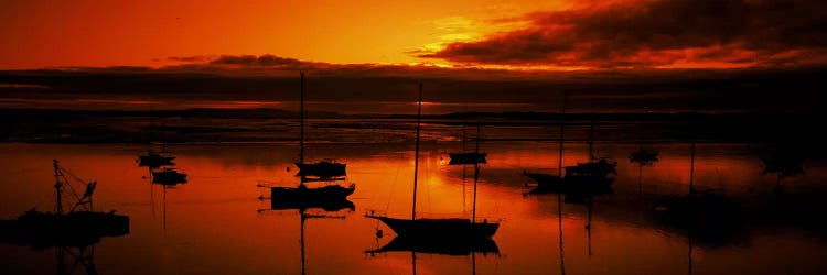 Boats in a bay, Morro Bay, San Luis Obispo County, California, USA