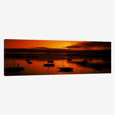 Boats in a bay, Morro Bay, San Luis Obispo County, California, USA Canvas Print #PIM8187} by Panoramic Images Canvas Print