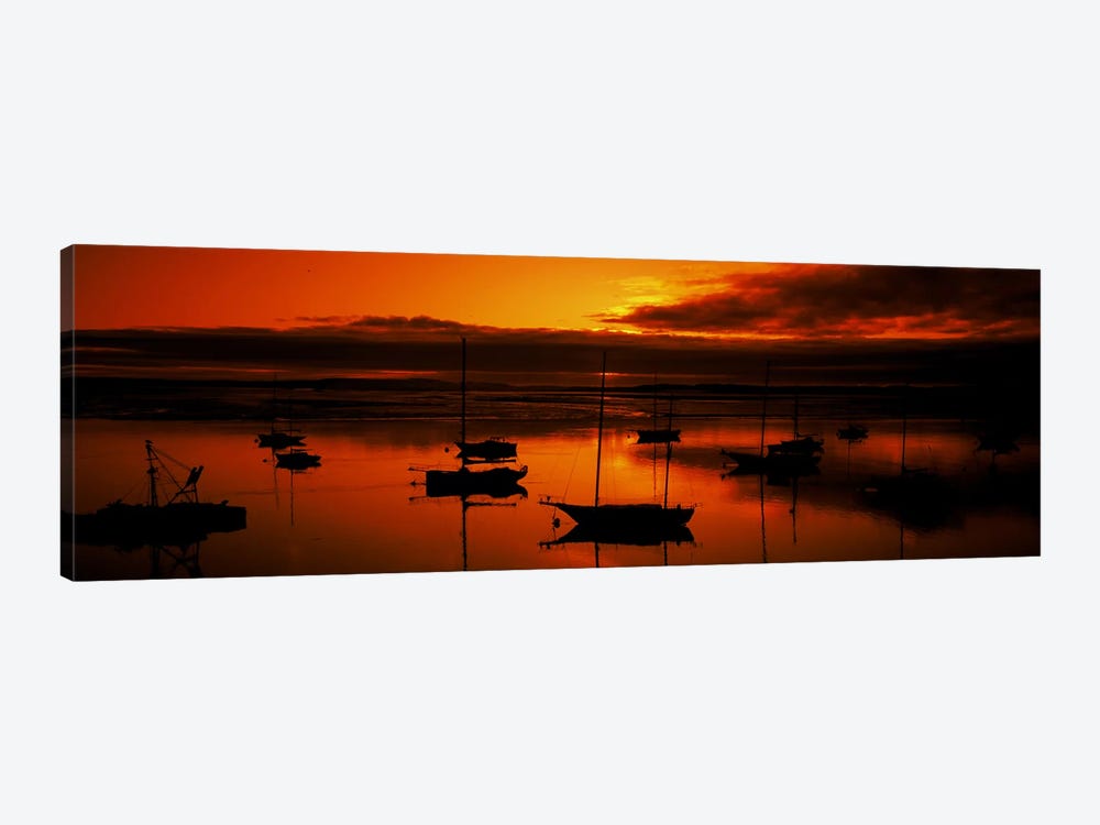 Boats in a bay, Morro Bay, San Luis Obispo County, California, USA by Panoramic Images 1-piece Canvas Art Print
