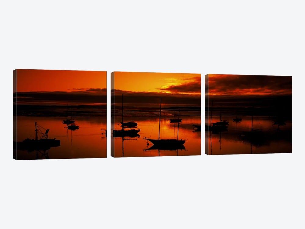 Boats in a bay, Morro Bay, San Luis Obispo County, California, USA by Panoramic Images 3-piece Canvas Print