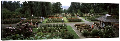 Tourists in a rose garden, International Rose Test Garden, Washington Park, Portland, Multnomah County, Oregon, USA Canvas Art Print - Garden & Floral Landscape Art