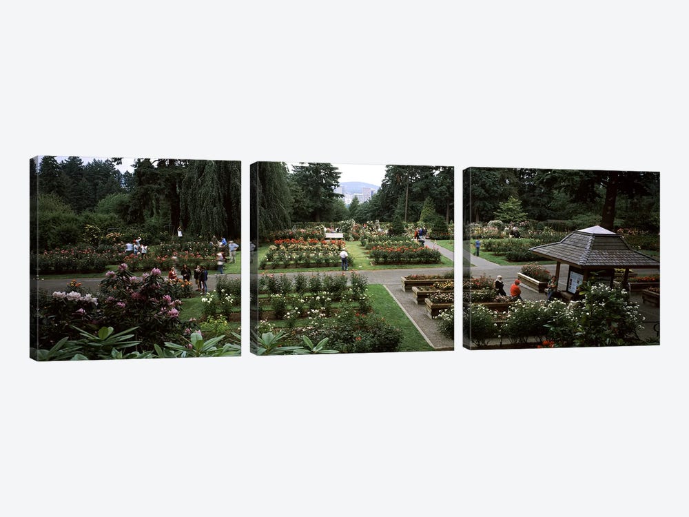 Tourists in a rose garden, International Rose Test Garden, Washington Park, Portland, Multnomah County, Oregon, USA by Panoramic Images 3-piece Canvas Artwork