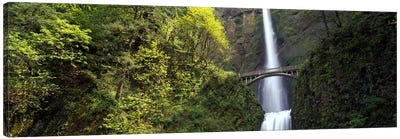 Waterfall in a forest, Multnomah Falls, Columbia River Gorge, Portland, Multnomah County, Oregon, USA Canvas Art Print - Bridge Art