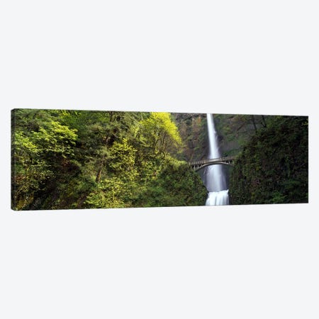 Waterfall in a forest, Multnomah Falls, Columbia River Gorge, Portland, Multnomah County, Oregon, USA Canvas Print #PIM8242} by Panoramic Images Canvas Art Print
