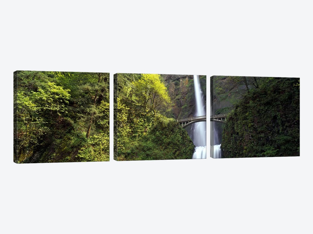 Waterfall in a forest, Multnomah Falls, Columbia River Gorge, Portland, Multnomah County, Oregon, USA by Panoramic Images 3-piece Canvas Art