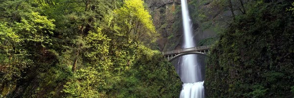 Oregon: Waterfall In A Forest II, Multnomah Falls, Columbia River Gorge, Oregon, USA by Panoramic Images