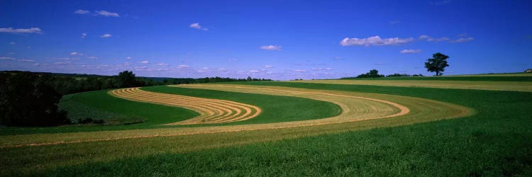 Farmland IL USA by Panoramic Images wall art