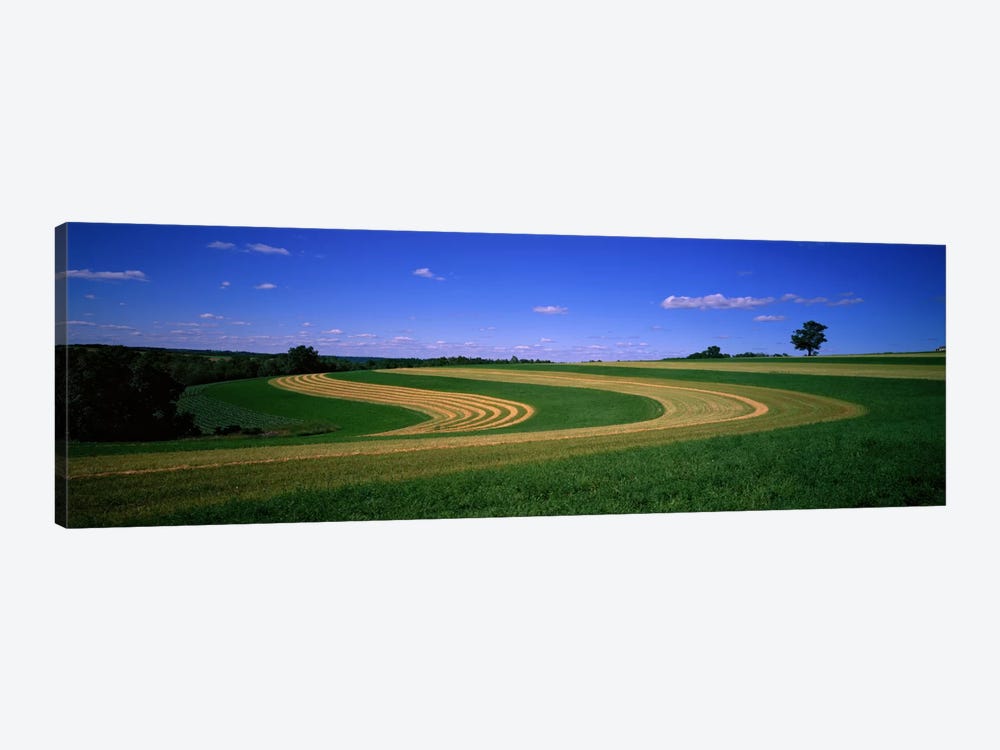 Farmland IL USA by Panoramic Images 1-piece Canvas Art Print