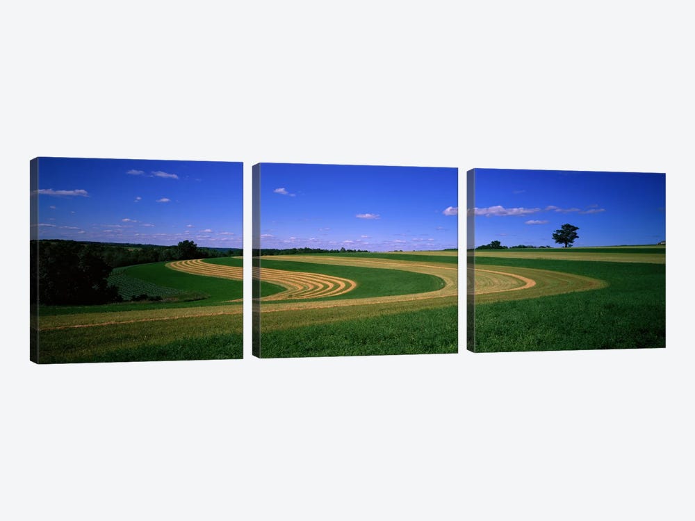 Farmland IL USA by Panoramic Images 3-piece Canvas Art Print