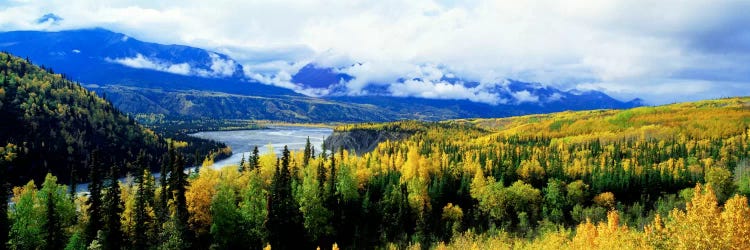 Cloudy Forested Landscape Featuring The Yukon River by Panoramic Images wall art