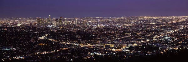 Aerial view of a cityscapeLos Angeles, California, USA