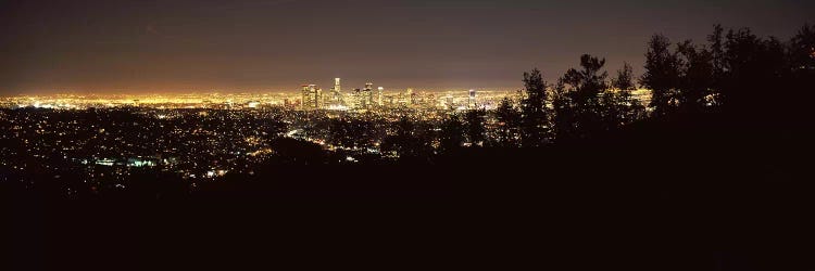 Aerial view of a cityscapeLos Angeles, California, USA