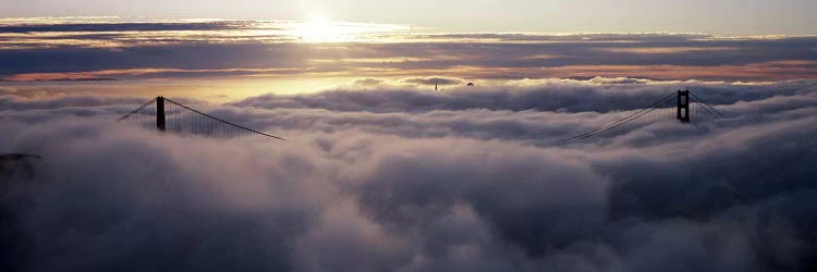 Suspension bridge covered with fog viewed from Hawk Hill, Golden Gate Bridge, San Francisco Bay, San Francisco, California, USA