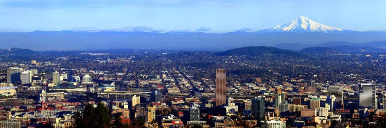 Buildings in a city viewed from Pittock Mansion, Portland, Multnomah County, Oregon, USA 2010