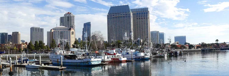 Fishing boats docked at a marina, San Diego, California, USA