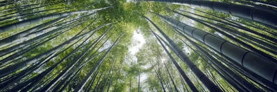 Kamakura