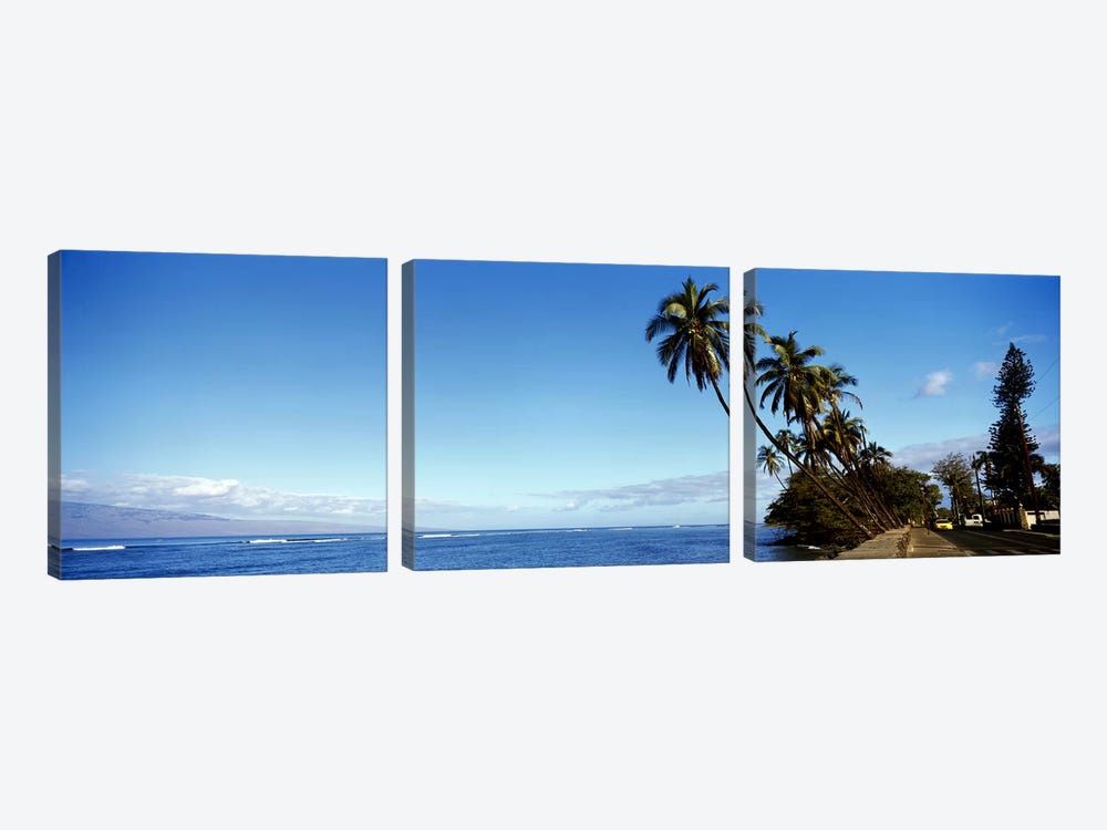Leaning Palms Along A Coastal Landscape, Lahaina, Maui County, Hawaii, USA by Panoramic Images 3-piece Canvas Art