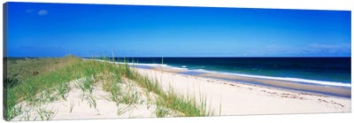 Coastal Landscape, Cape Hatteras National Seashore, Outer Banks, North Carolina USA Canvas Art Print - Sandy Beach Art