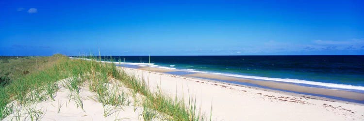 Coastal Landscape, Cape Hatteras National Seashore, Outer Banks, North Carolina USA