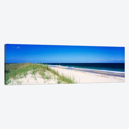Coastal Landscape, Cape Hatteras National Seashore, Outer Banks, North Carolina USA Canvas Print #PIM856} by Panoramic Images Canvas Art