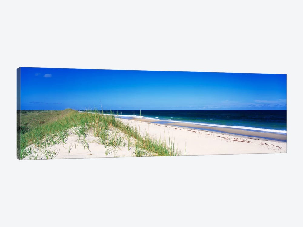 Coastal Landscape, Cape Hatteras National Seashore, Outer Banks, North Carolina USA by Panoramic Images 1-piece Canvas Artwork