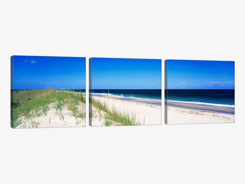Coastal Landscape, Cape Hatteras National Seashore, Outer Banks, North Carolina USA by Panoramic Images 3-piece Canvas Art