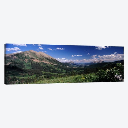 Kebler Pass, Crested Butte, Gunnison County, Colorado, USA Canvas Print #PIM8598} by Panoramic Images Canvas Art Print