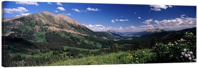 Kebler Pass, Crested Butte, Gunnison County, Colorado, USA Canvas Art Print - Valley Art