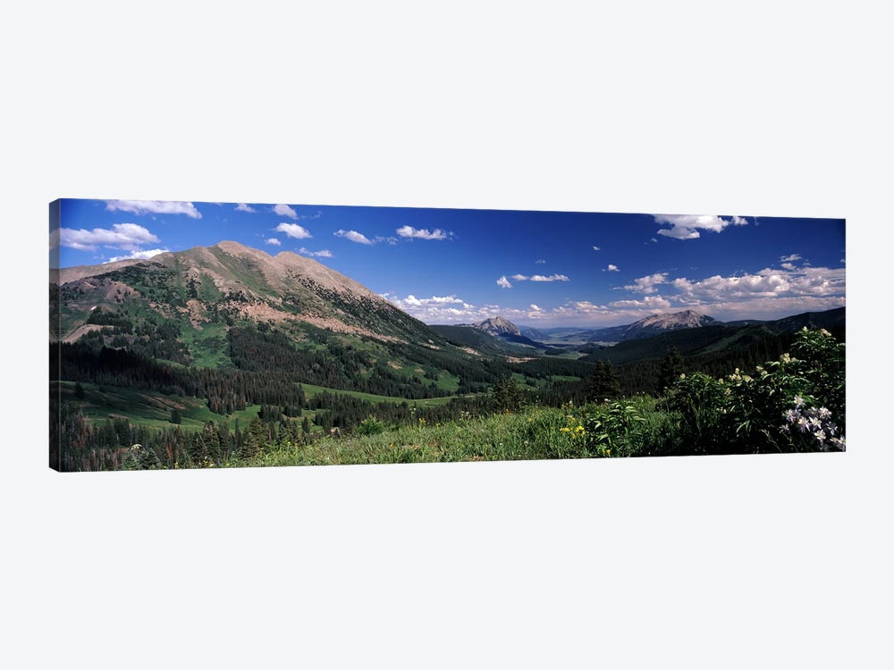 Kebler Pass, Crested Butte, Gunnison County, Colorado, USA by Panoramic Images 1-piece Canvas Art