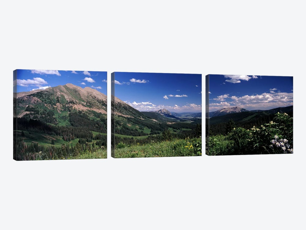Kebler Pass, Crested Butte, Gunnison County, Colorado, USA by Panoramic Images 3-piece Canvas Art