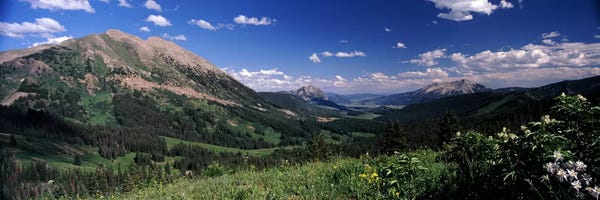 Colorado: Kebler Pass, Crested Butte, Gunnison County, Colorado, USA by Panoramic Images