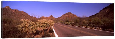 Road passing through a landscape, Saguaro National Park, Tucson, Pima County, Arizona, USA #2 Canvas Art Print - Hill & Hillside Art