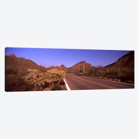 Road passing through a landscape, Saguaro National Park, Tucson, Pima County, Arizona, USA #2 Canvas Print #PIM8648} by Panoramic Images Canvas Print