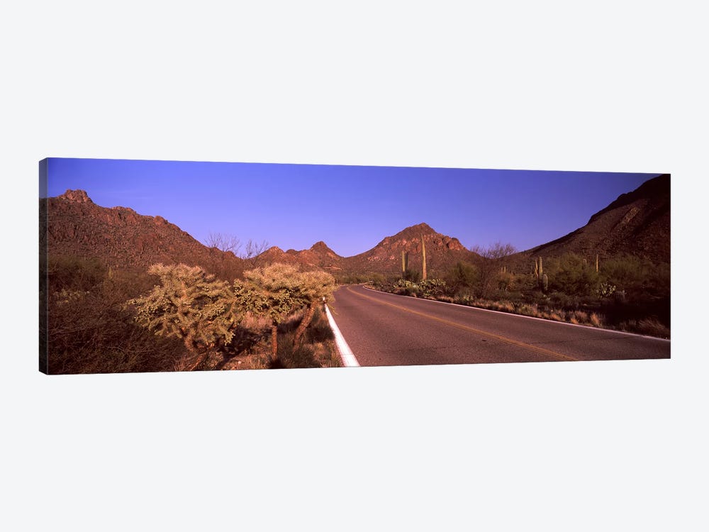 Road passing through a landscape, Saguaro National Park, Tucson, Pima County, Arizona, USA #2 by Panoramic Images 1-piece Canvas Art Print