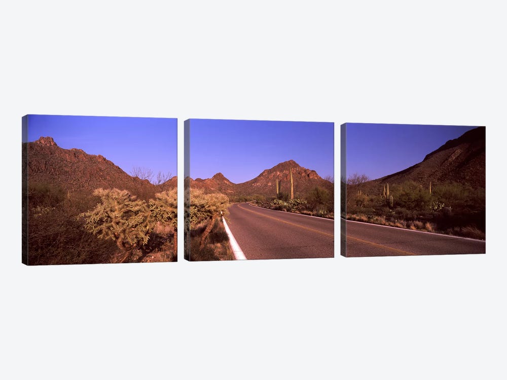 Road passing through a landscape, Saguaro National Park, Tucson, Pima County, Arizona, USA #2 by Panoramic Images 3-piece Canvas Art Print
