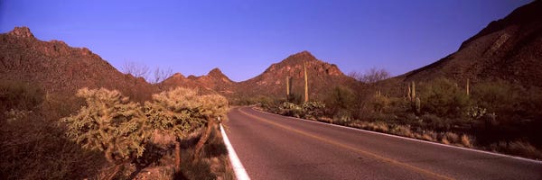 Road passing through a landscape II, Saguaro National Park, Tucson, Pima County, Arizona, USA