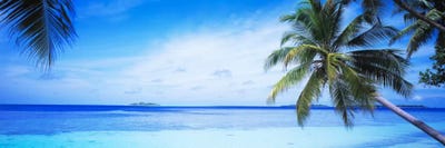 Tropical Seascape, Indian Ocean by Panoramic Images acrylic art print