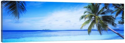 Tropical Seascape, Indian Ocean Canvas Art Print - Tropical Beach Art