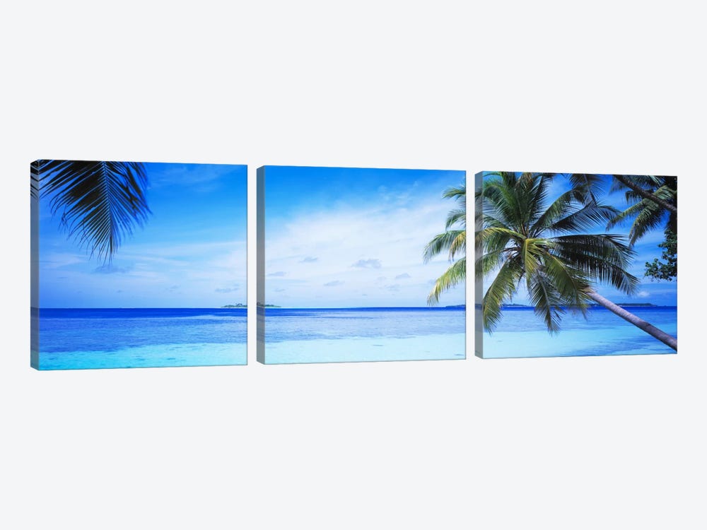 Tropical Seascape, Indian Ocean by Panoramic Images 3-piece Canvas Wall Art