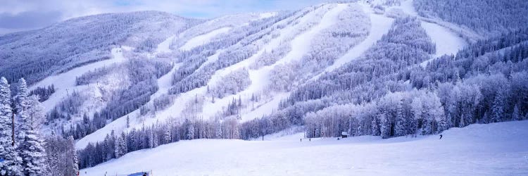 Snow-Covered Ski Slopes, Steamboat Springs, Colorado, USA