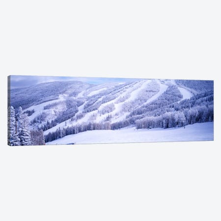 Snow-Covered Ski Slopes, Steamboat Springs, Colorado, USA Canvas Print #PIM871} by Panoramic Images Canvas Art Print