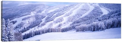 Snow-Covered Ski Slopes, Steamboat Springs, Colorado, USA Canvas Art Print - Snowy Mountain Art