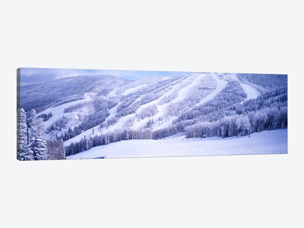 Snow-Covered Ski Slopes, Steamboat Springs, Colorado, USA by Panoramic Images 1-piece Canvas Print