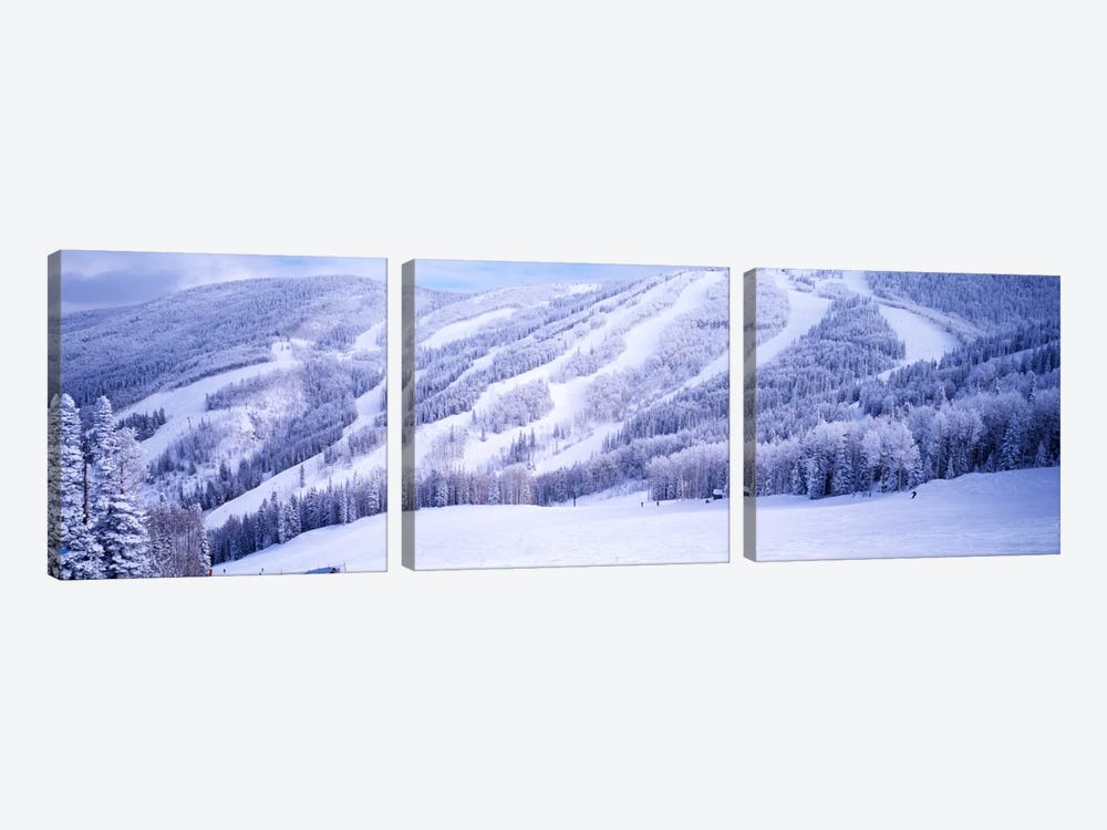 Snow-Covered Ski Slopes, Steamboat Springs, Colorado, USA by Panoramic Images 3-piece Canvas Print